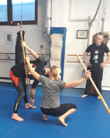 Workshop für MMA-Trainer